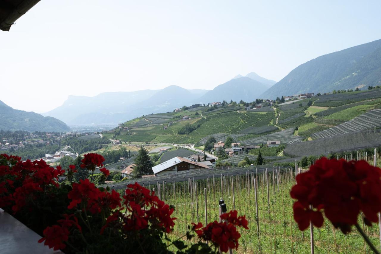 Noessinghof Bed & Breakfast Tirolo Bagian luar foto