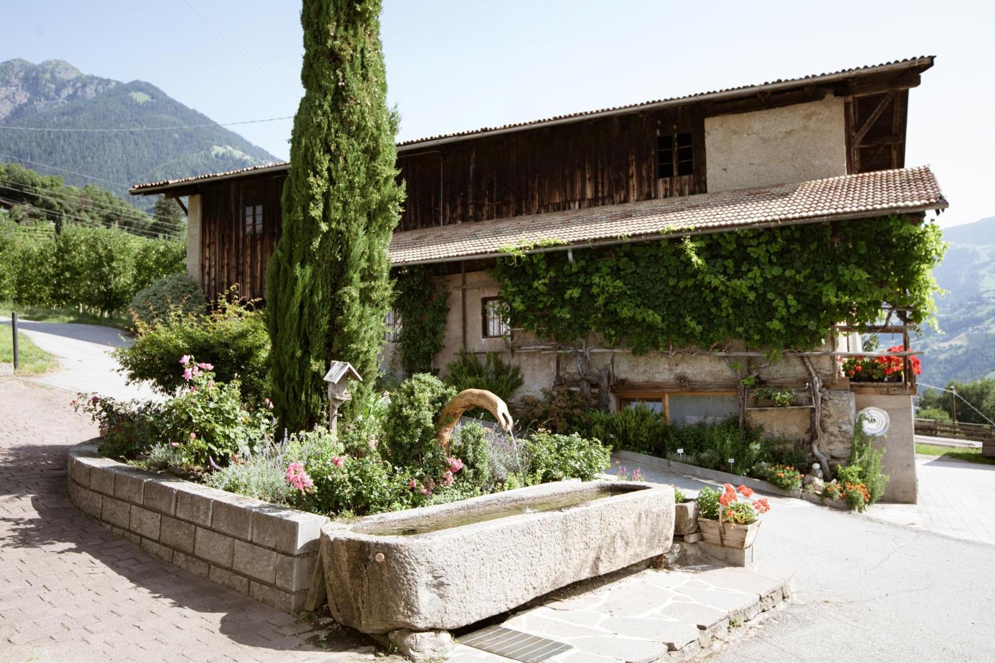 Noessinghof Bed & Breakfast Tirolo Bagian luar foto